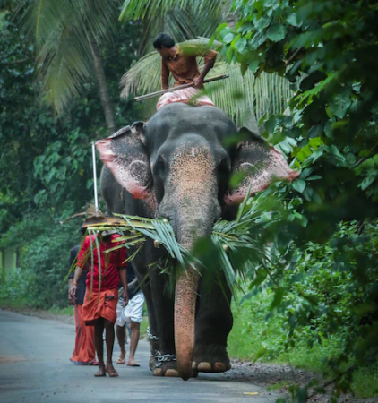Kerala