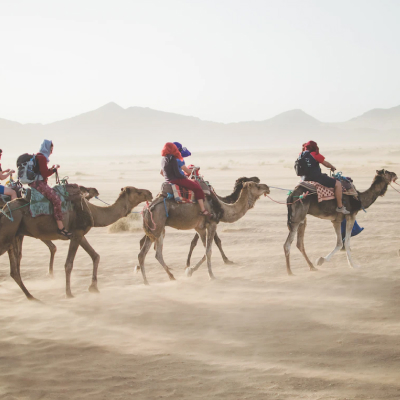 Group Travel