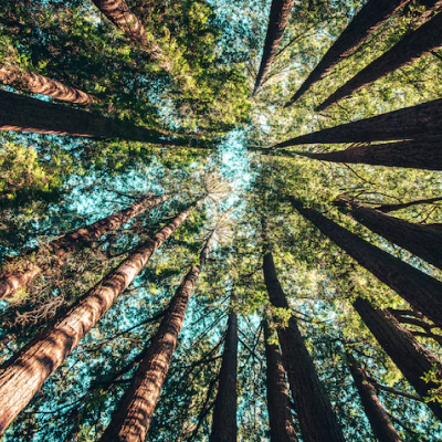 Sustainable and Responsible Tourism